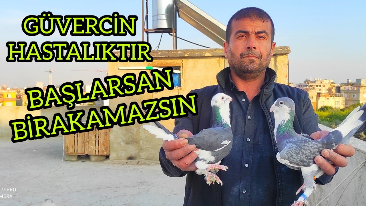 Kuşçu Çetin - Kaliteli Adana Güvercinlerini ( EFSANE)
