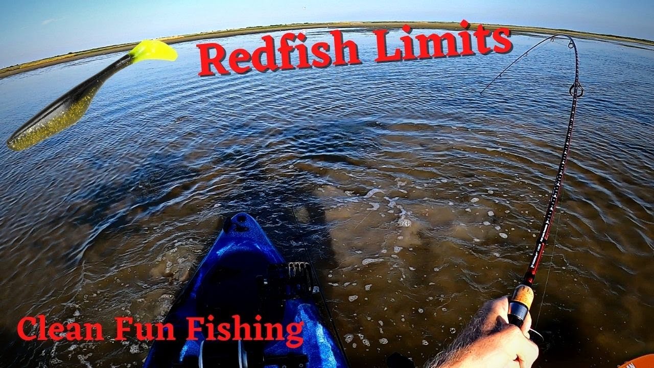 Redfish Limits On Saltwater Assassin Sea Shad In A Texas Roach Color