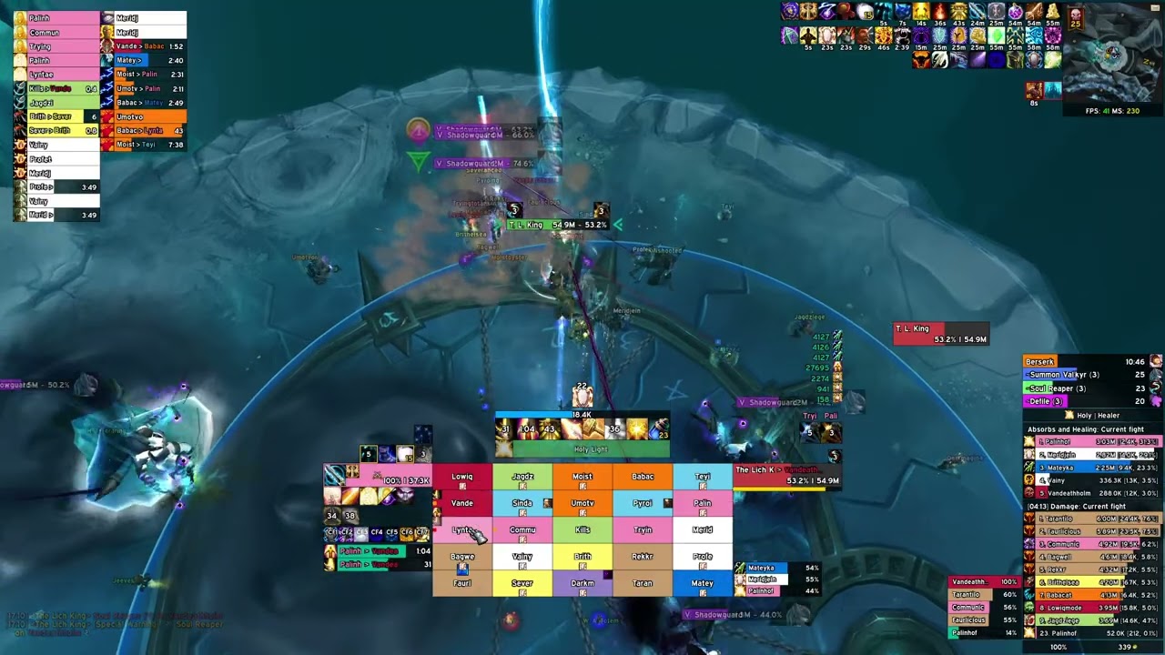 Lich King 25HC Holy Paladin POV