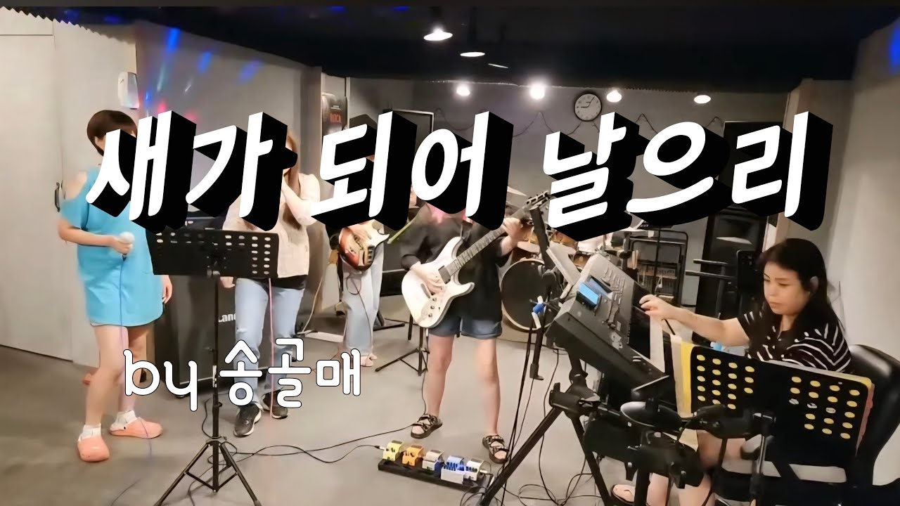 8월 20일 합주#새가되어날으리#송골매#블랙로즈 #여성밴드 #여성기타#아줌마기타