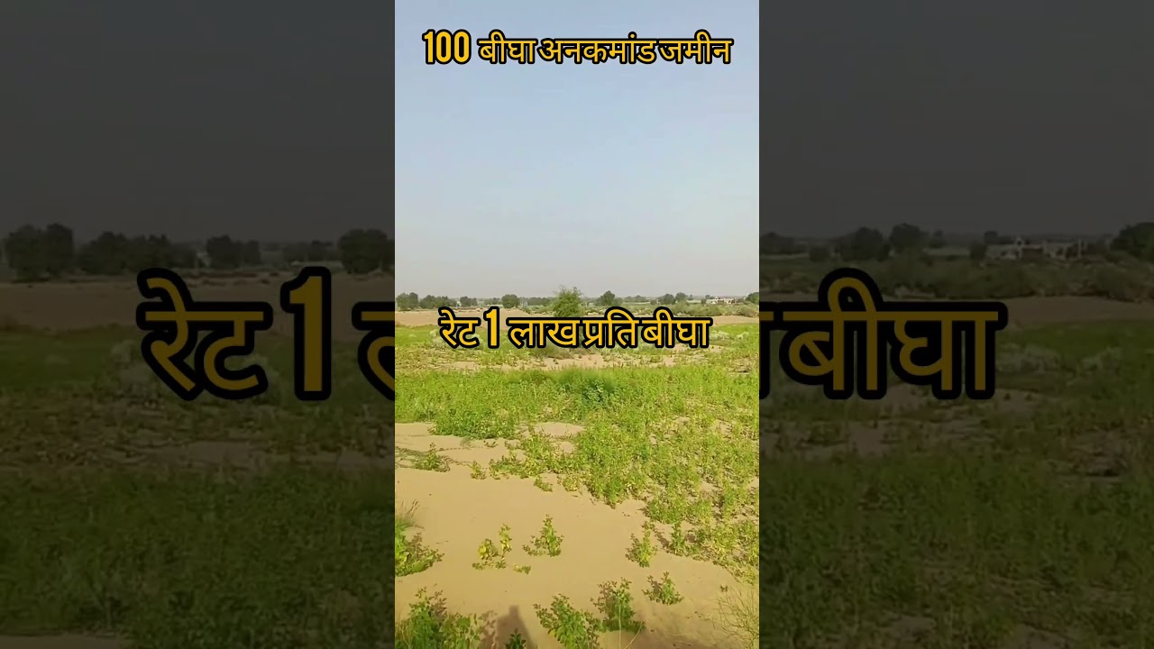 100 Bigha Uncommanded General Account Holder Land for Sale in Khajuwala Bikaner