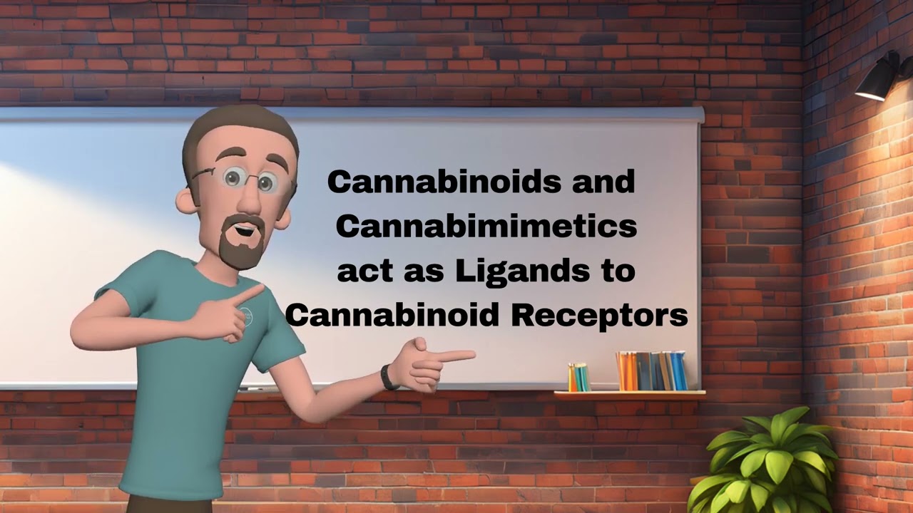 ECS Communication