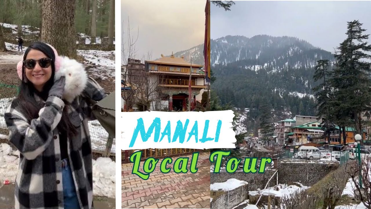 Manali Local Tour | Himachal | Mercury Vlogs