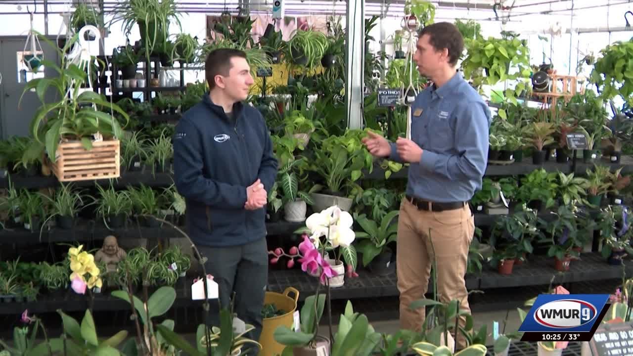 Grow it Green: Composting during the winter