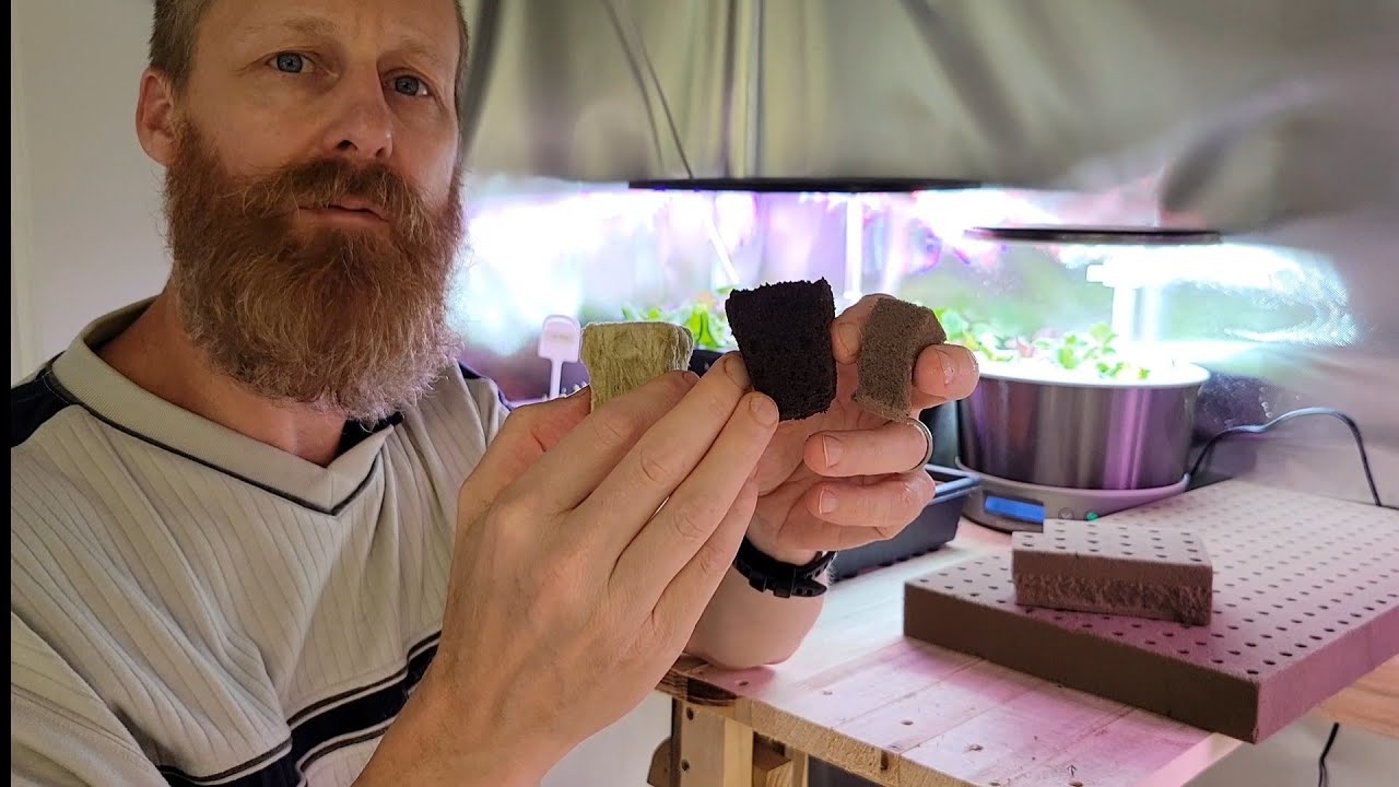 Starting seeds for the Gardyn , Lettuce Grow Farmstand and Iharvest-Endless Supply of Lettuce-Letpot