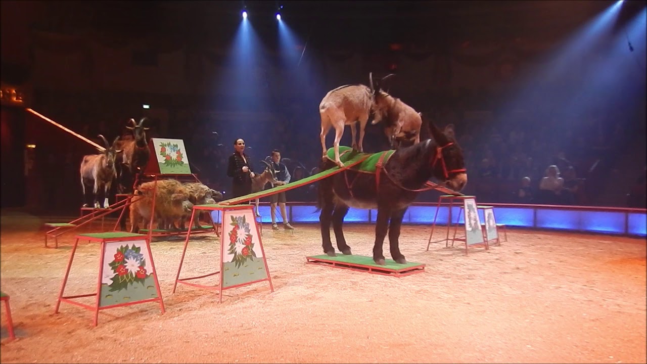 Circus Krone: Premiere von der 3 Winterspielzeit 2019-2020 in München Teil 2-15