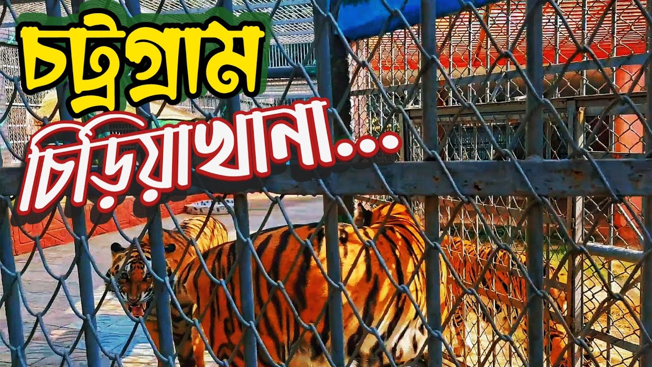 Chattogram Zoo | Chittagong Zoo | চট্রগ্রাম চিড়িয়াখানা। Visit Chittagong Zoo |