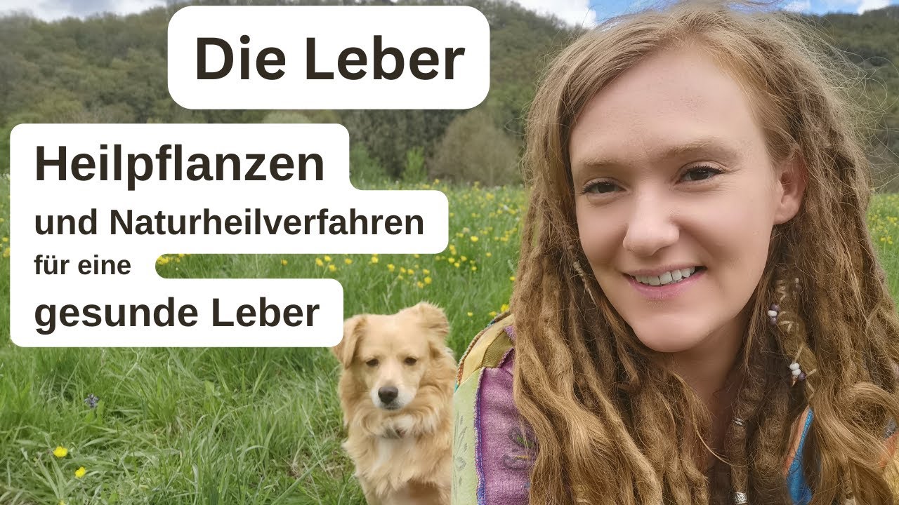 Die Leber - Heilpflanzen und naturheilkundliche Hilfe f&uuml;r eine gesunde Leber
