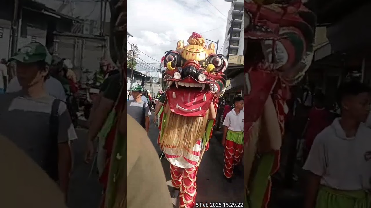 Kie Lin pgb bangau putih bogor prosesi ce kau menjelang CGM BOGOR 2025 @capgomebbogi