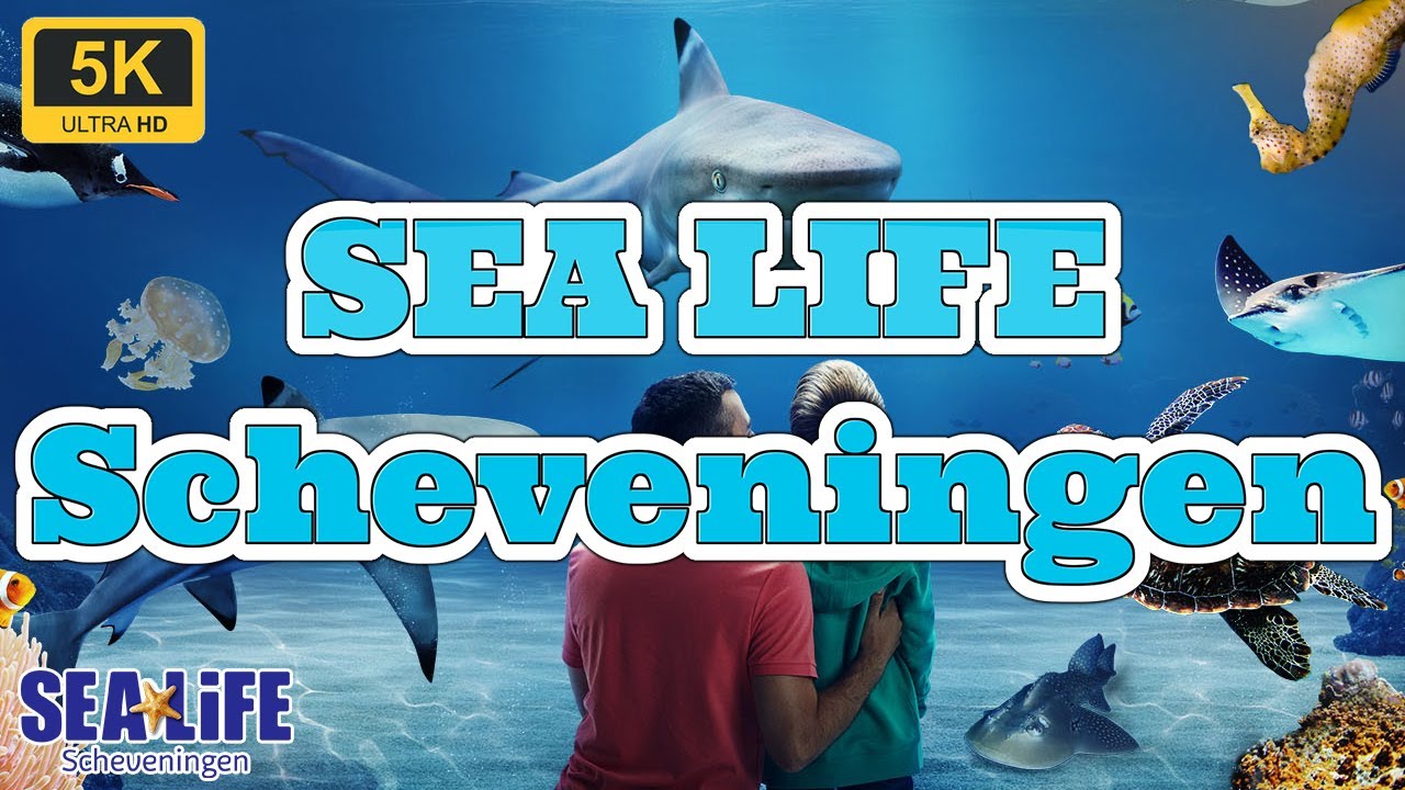SEA LIFE Scheveningen Zeeaquarium 5K 60fps