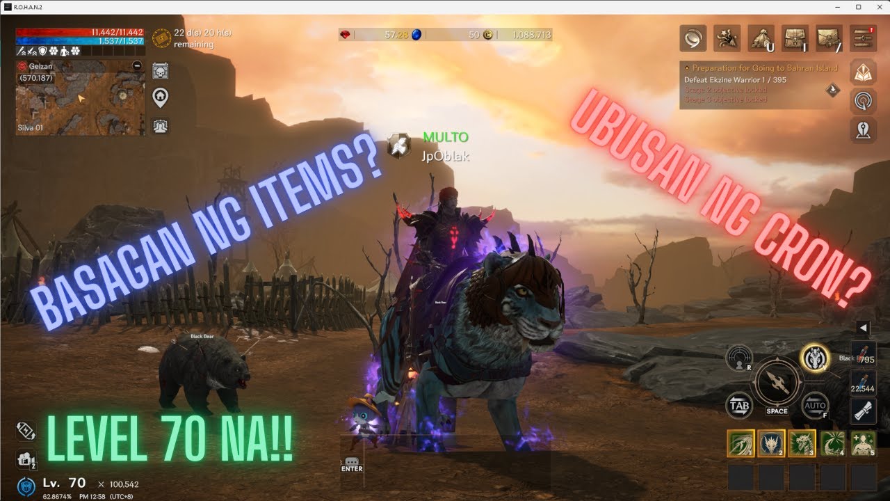 [Rohan 2 Global] Reached Level 70! update tayo sa dekan natin :)