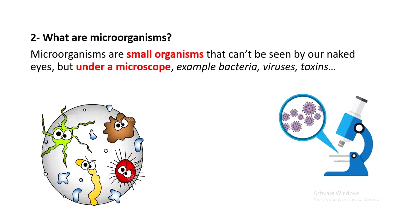 Biology grade 8: cells, self and non self part1/ teacher Ali Hankir