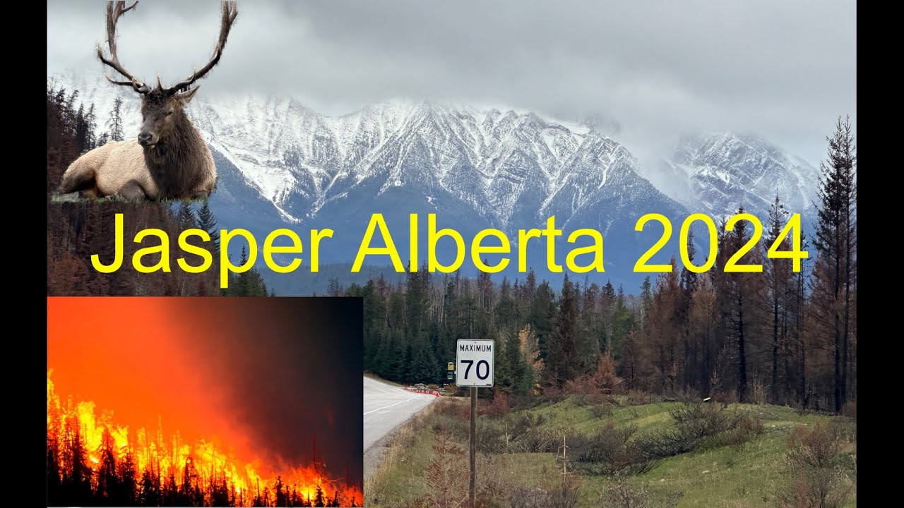Jasper Alberta Wildfire Devastation, Wildlife, and Scenery