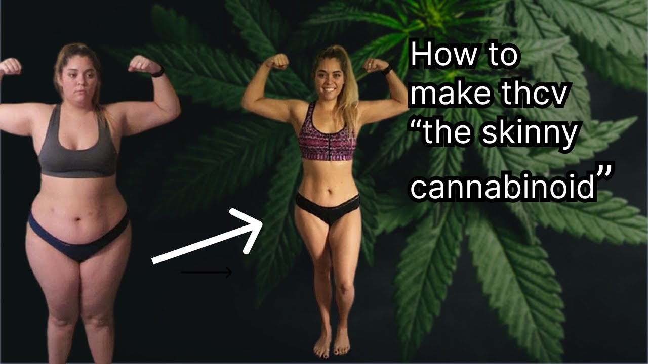 How to make THC-V: The Secret Synthesis to Get THC-Attracted Fat Loss