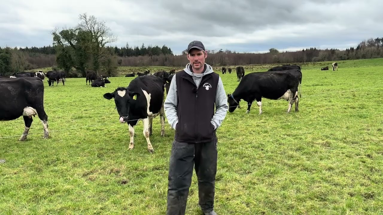 Grazing4AgroEcology | Irish Grazing Award Winner