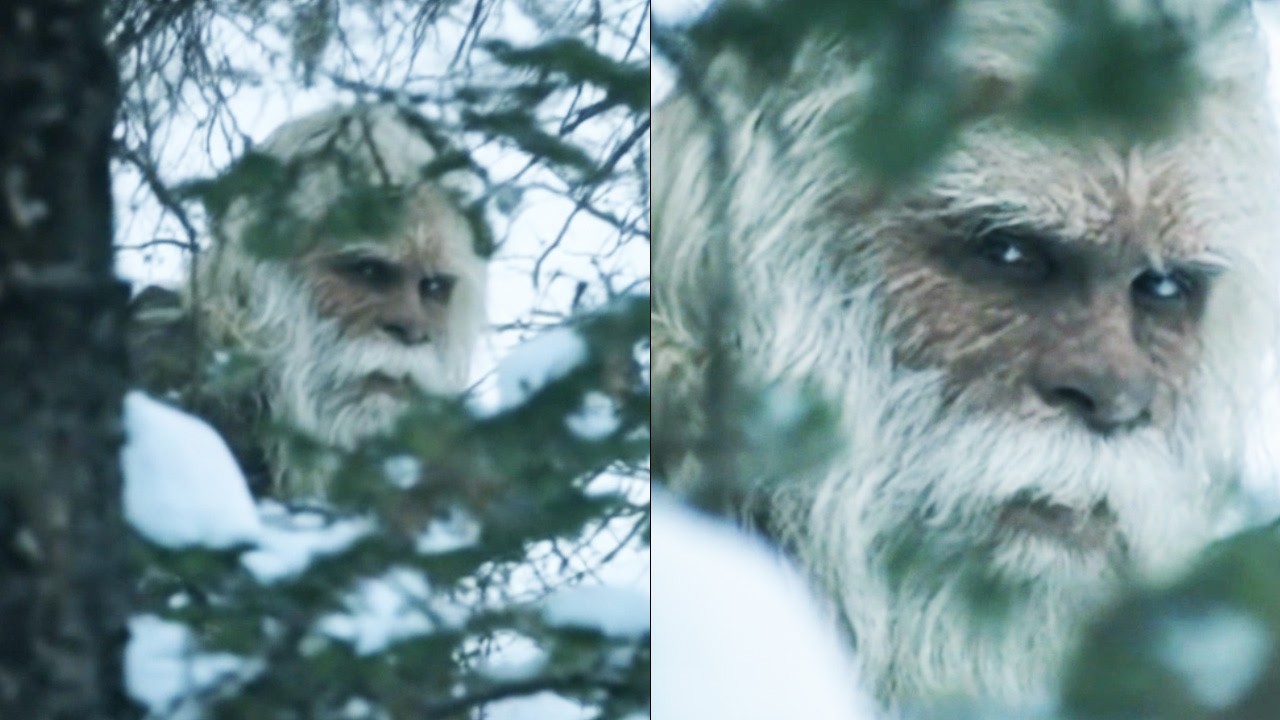 Soviet Expeditions Hunted the Yeti for 30 Years. What They Found Is Being Revealed