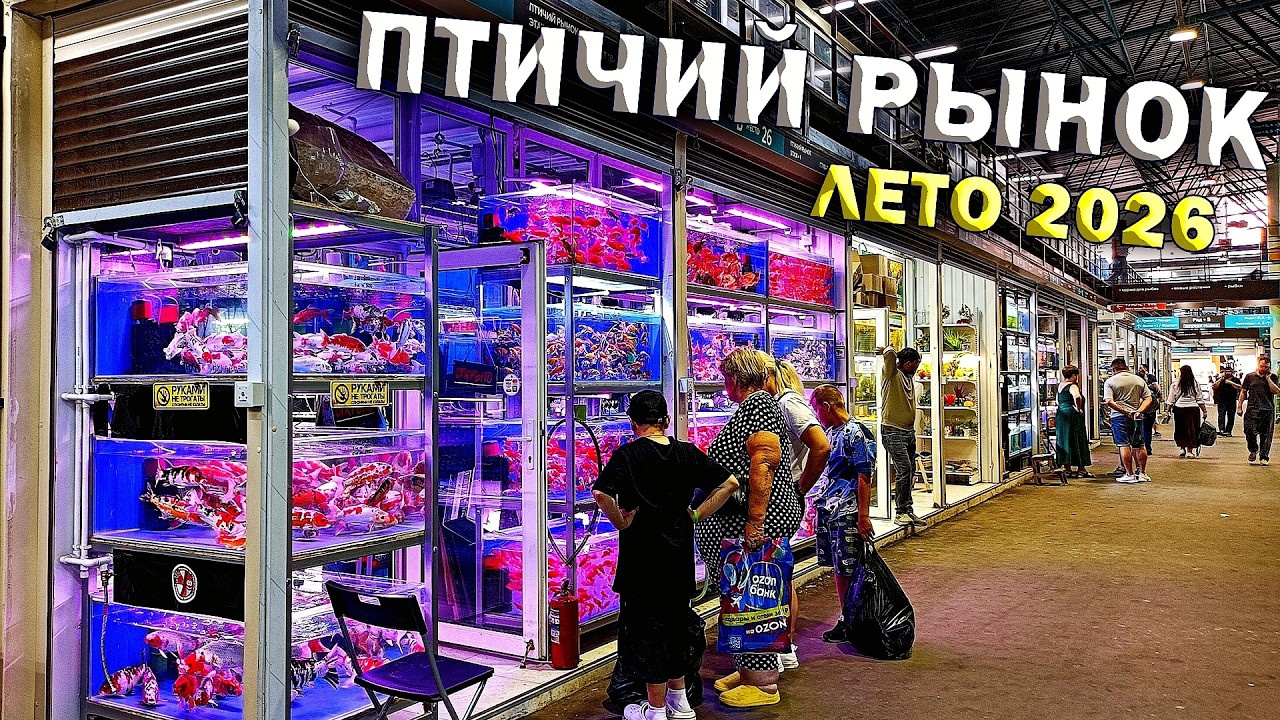 Big fish haul at the Sadovod pet market in the summer of 2026!