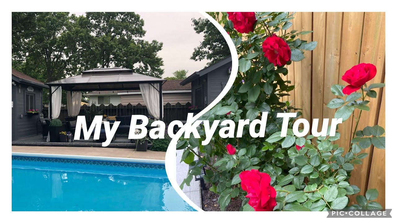 MY BACKYARD TOUR 🌺
TOUR DO MEU QUINTAL 🌺