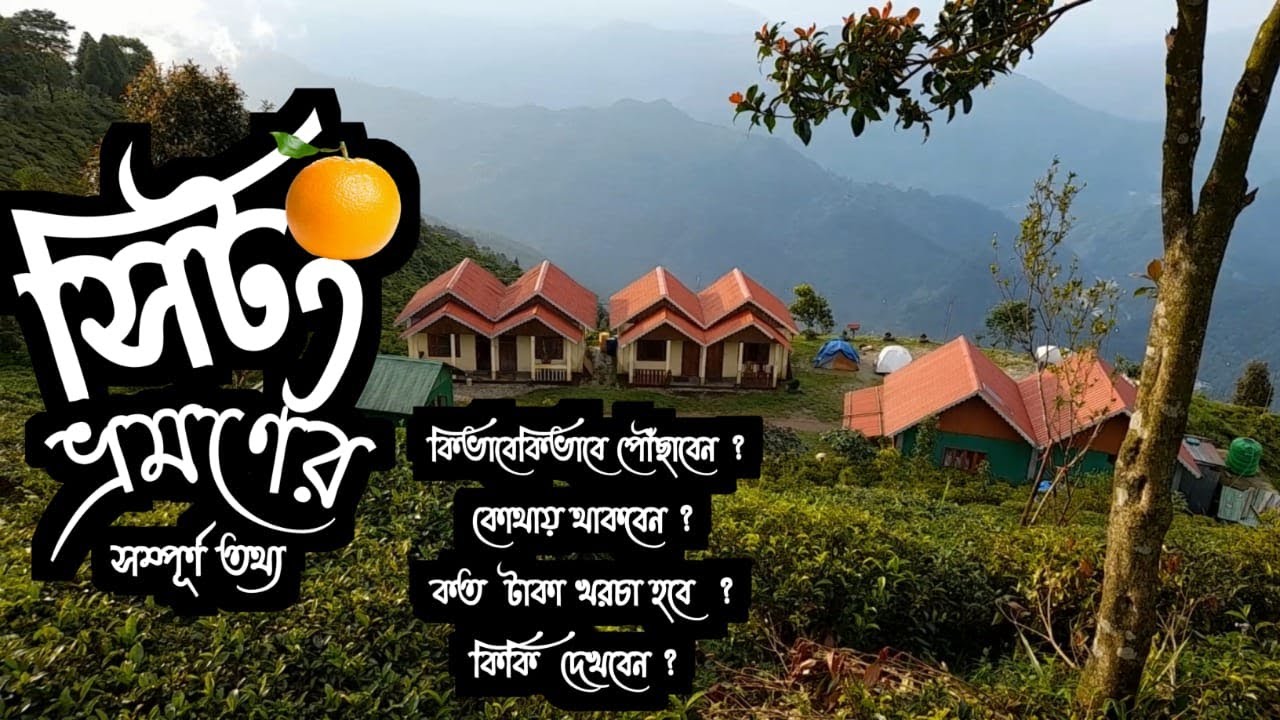 Sittong | সিটং | Sittong tour plan | Sittong tour guide | Ahaldara | Sittong Orange Garden| Jogighat