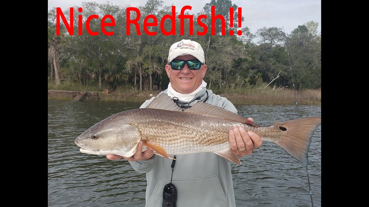 Redfish were all over the place!! Wando River!! Charleston S.C.