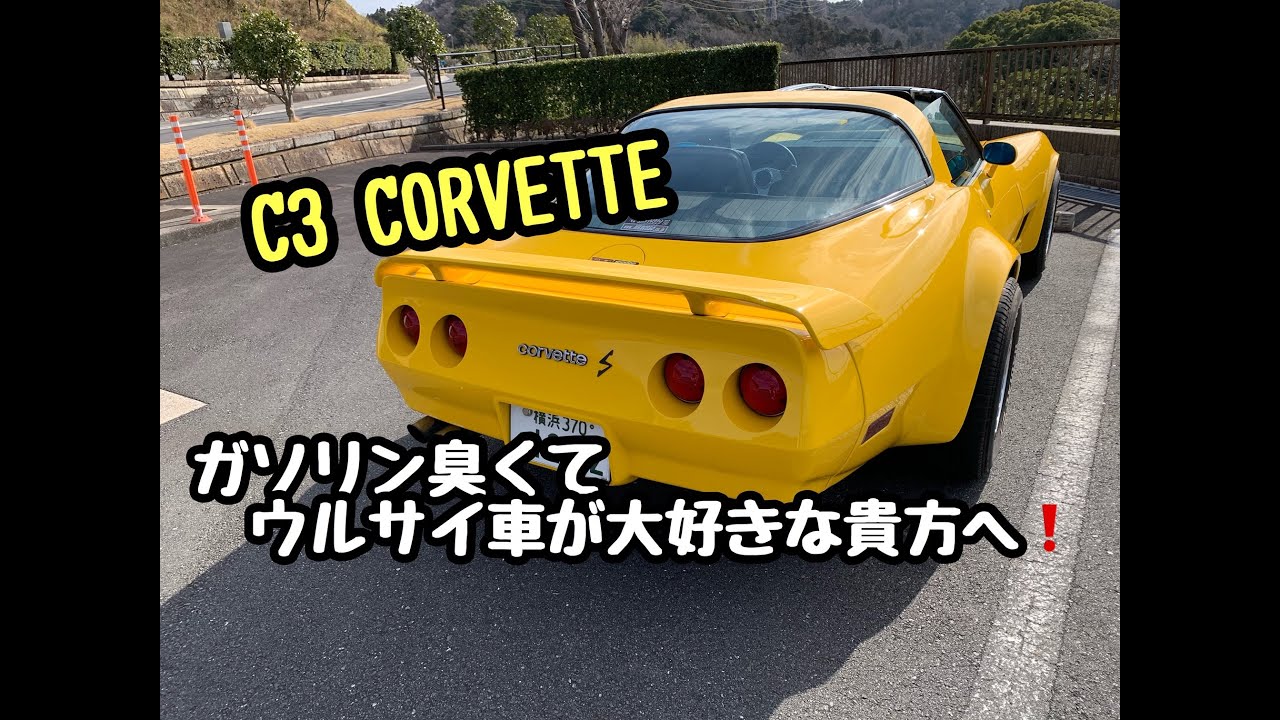 ガソリン臭くて！ウルサイ車が大好きな貴方へ！　　　　　　　　　　　　　　　　　　　　CUSTOM C3 CORVETTE【 コルベット】Made in Marcelo 【マルセロ】