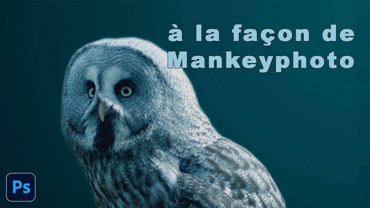 A la façon de Mankeyphoto avec PhotoShop