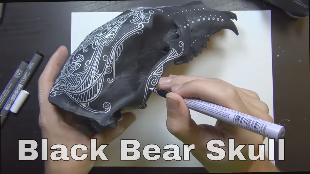Painting on a Black Bear Skull {POSTMORTEM}