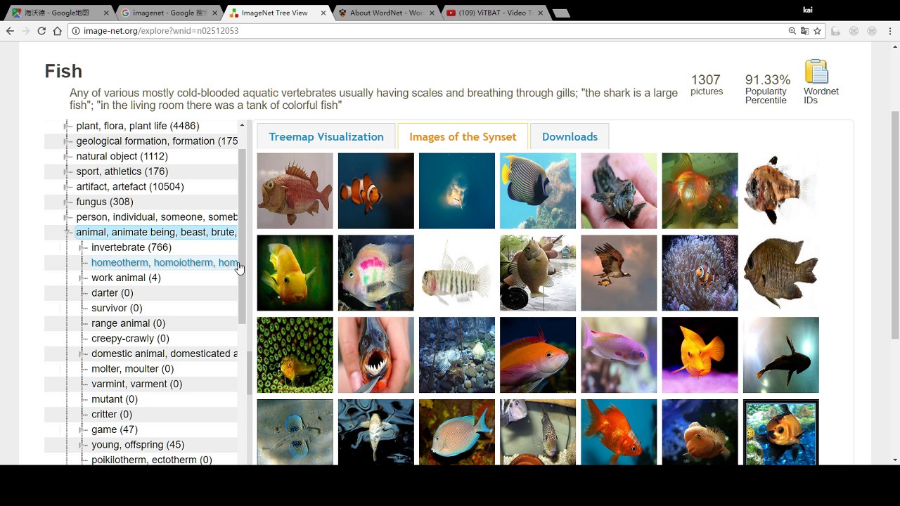 ImageNet introduce