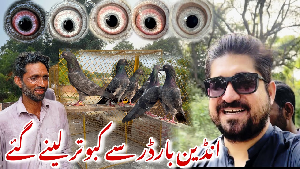 India 🇮🇳 Pakistan 🇵🇰 border sy kabotar leny gaye Aj 😍 03237988919