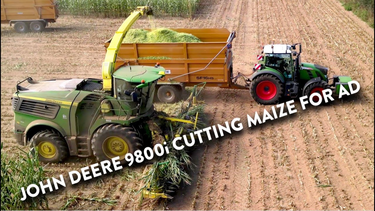 4Kᵁᴴᴰ Harvest 2024: Chopping maize with a John Deere 9800i forager & Fendt, JD, JCB, Richard Western