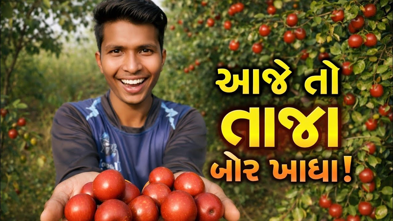 ઘર ની વાડી ના તાજા અને મીઠા બોર 🥑 #FarmLife #SweetBor #VillageVibes #FreshFruit