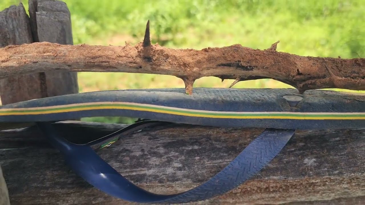 Um pouco da região de Condado do norte minas gerais 