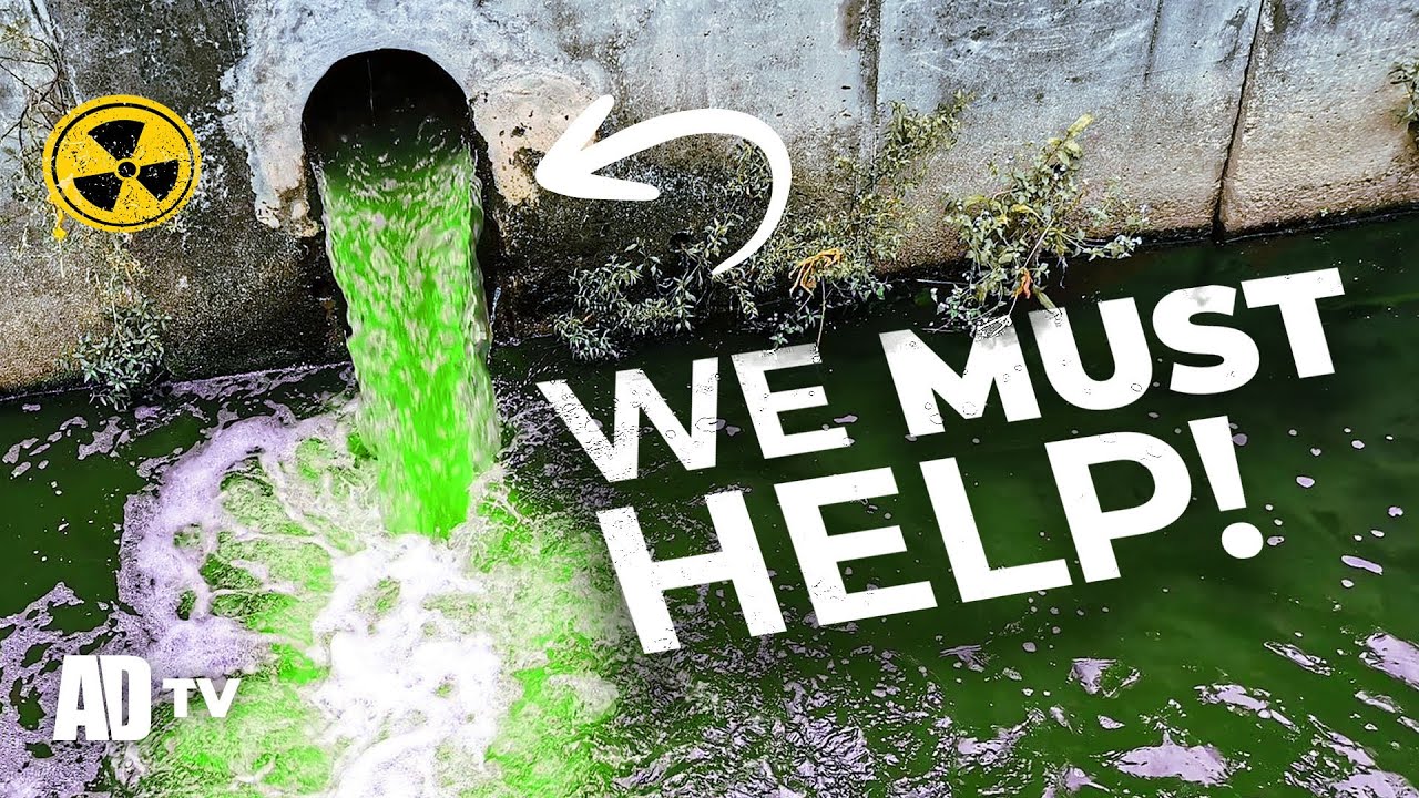 Anglers Against Pollution - Water Testing With Reading & District Angling Club
