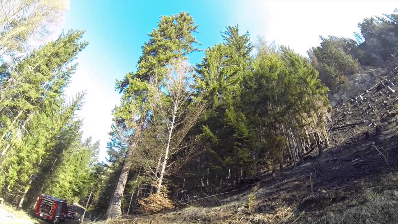 Waldbrand Göriach Lurnfeld 2015