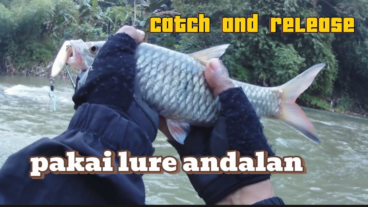 lure gacor penyelamat keboncosan.. casting hampala di spot kali ciliwung depok