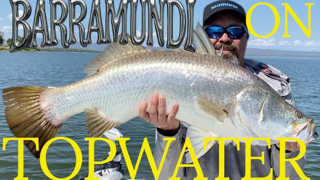 TOPWATER Barramundi @ Peter Faust Dam