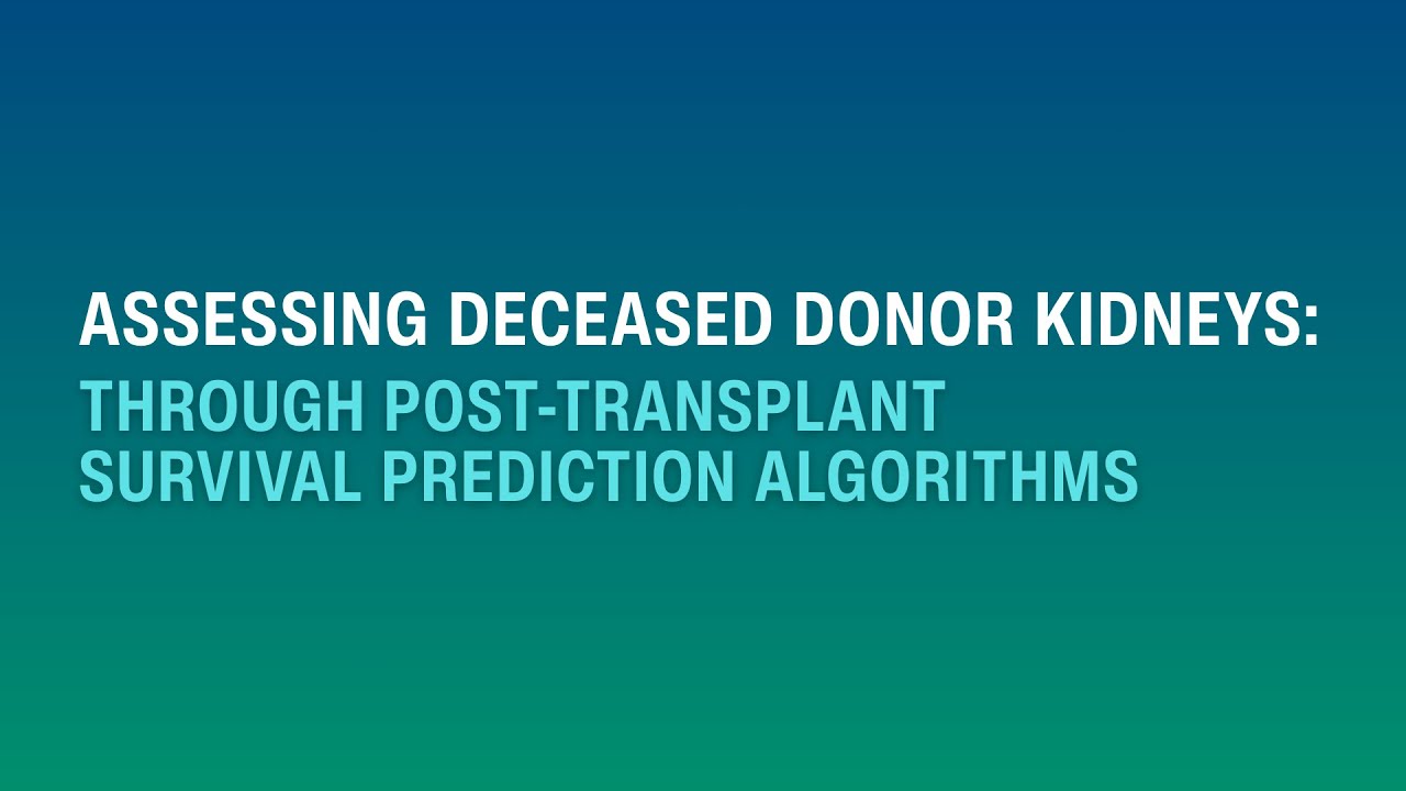 Assessing Deceased Donor Kidneys Through Post-Transplant Survival Prediction Algorithms