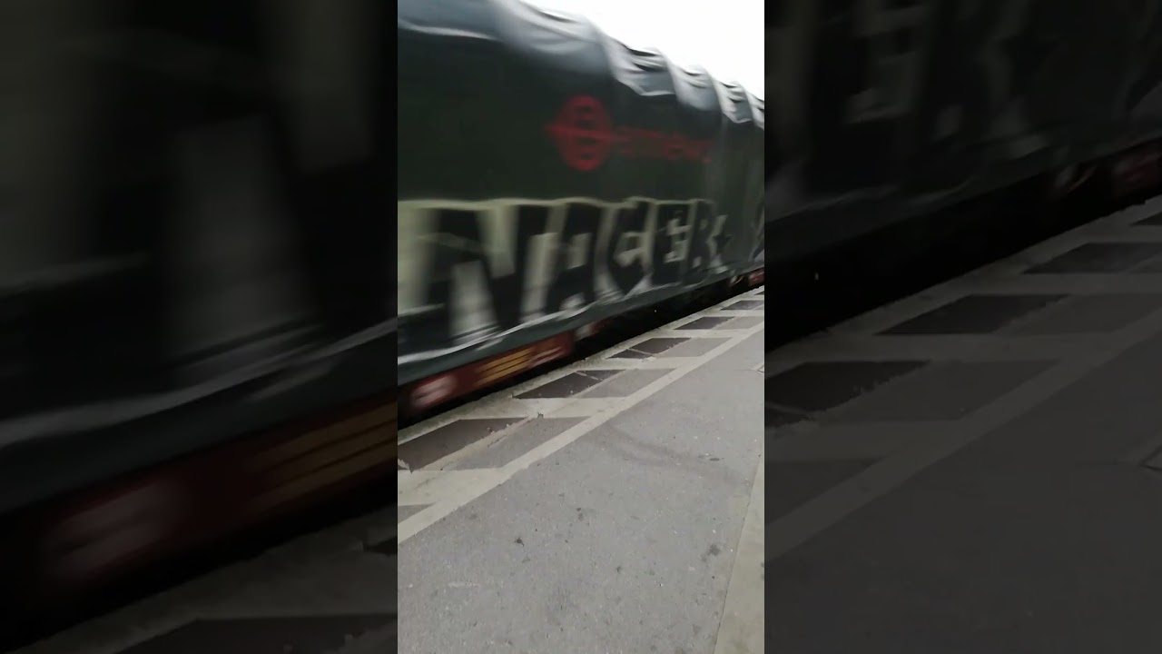 BR 152 Pulling Freight Waggons