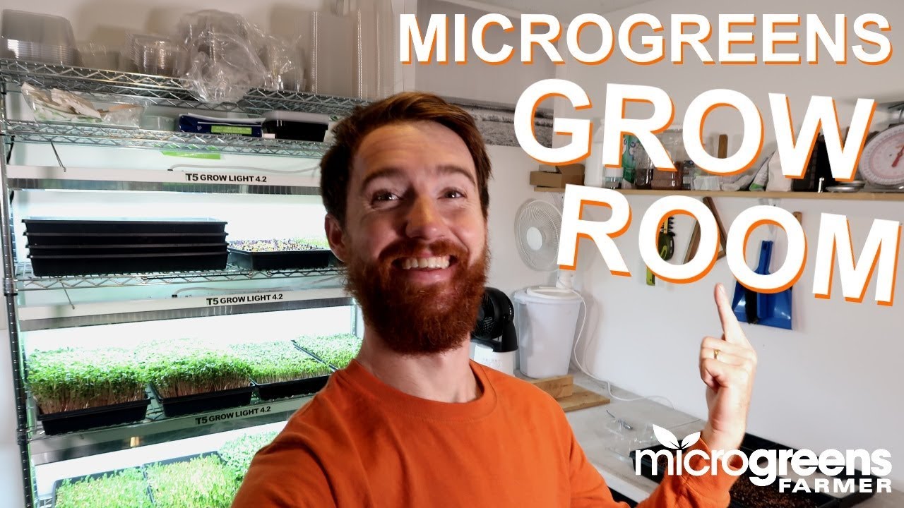 Microgreens Grow Room Setup and Supplies