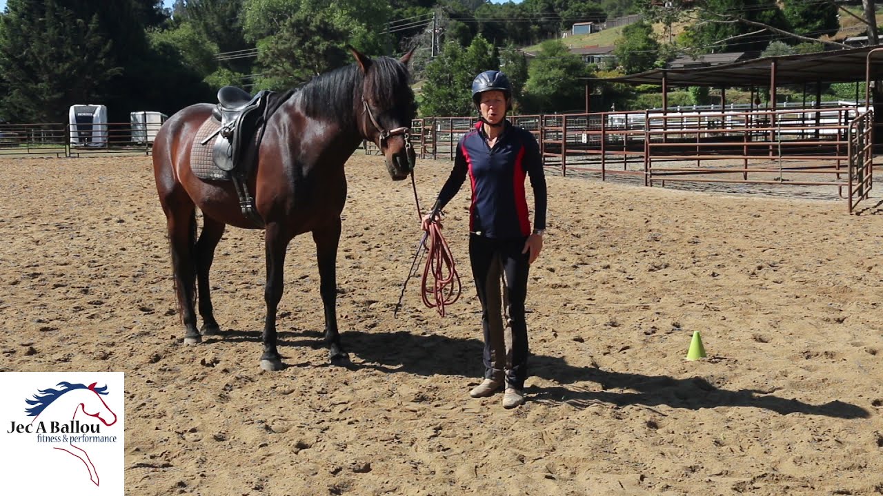 Activate your Horse's Deep Back Muscles