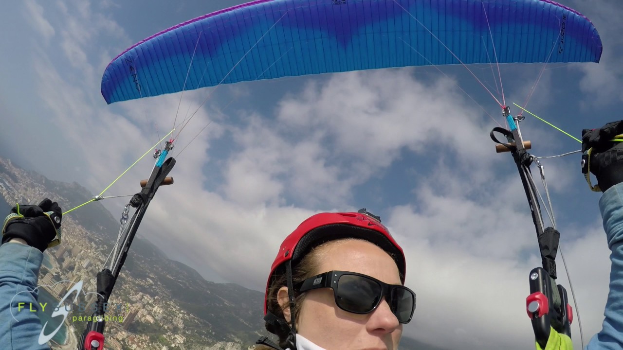 Ozone Zeno Stalls