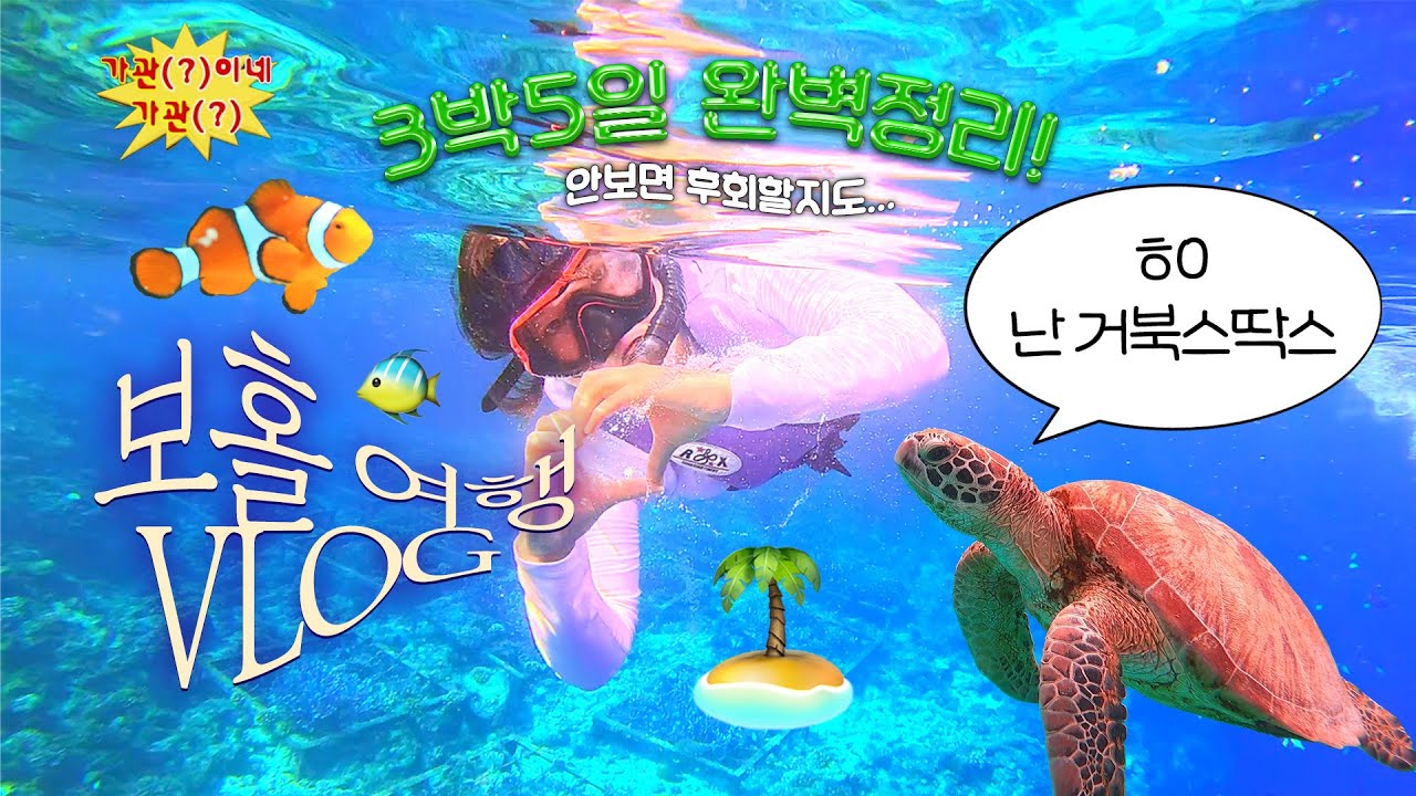 🇵🇭 보홀 브이로그 : 3박5일 알차게 낋여옴, 보홀 가면 꼭 해야하는 것들, 꿀팁 대방출, 발리카삭 호핑투어, 나팔링, 돌조비치 스노클링, JNP센터, 툭툭기사추천, 해피풋