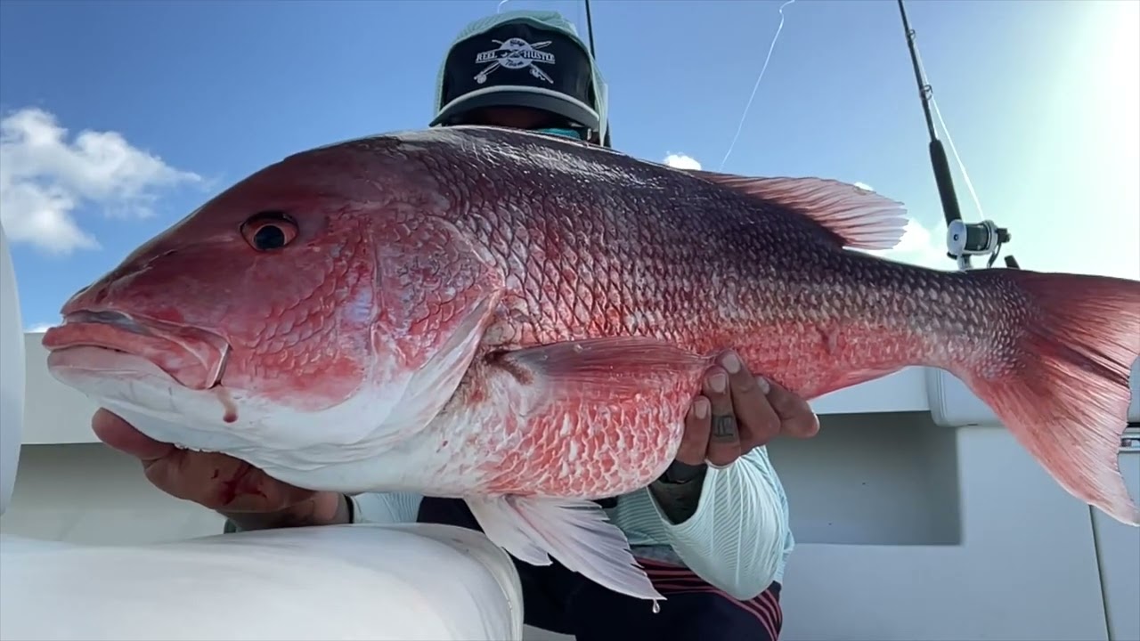 New Sponsor! The ultimate outdoor gear | Fishing around the Globe with Flop Industries 