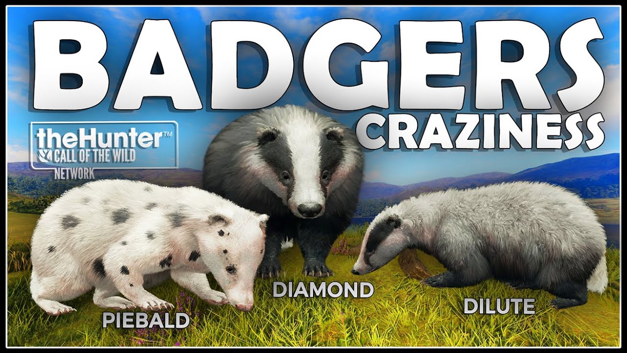 I Found a PIEBALD BADGER and MORE in SCOTLAND! (Early Access)