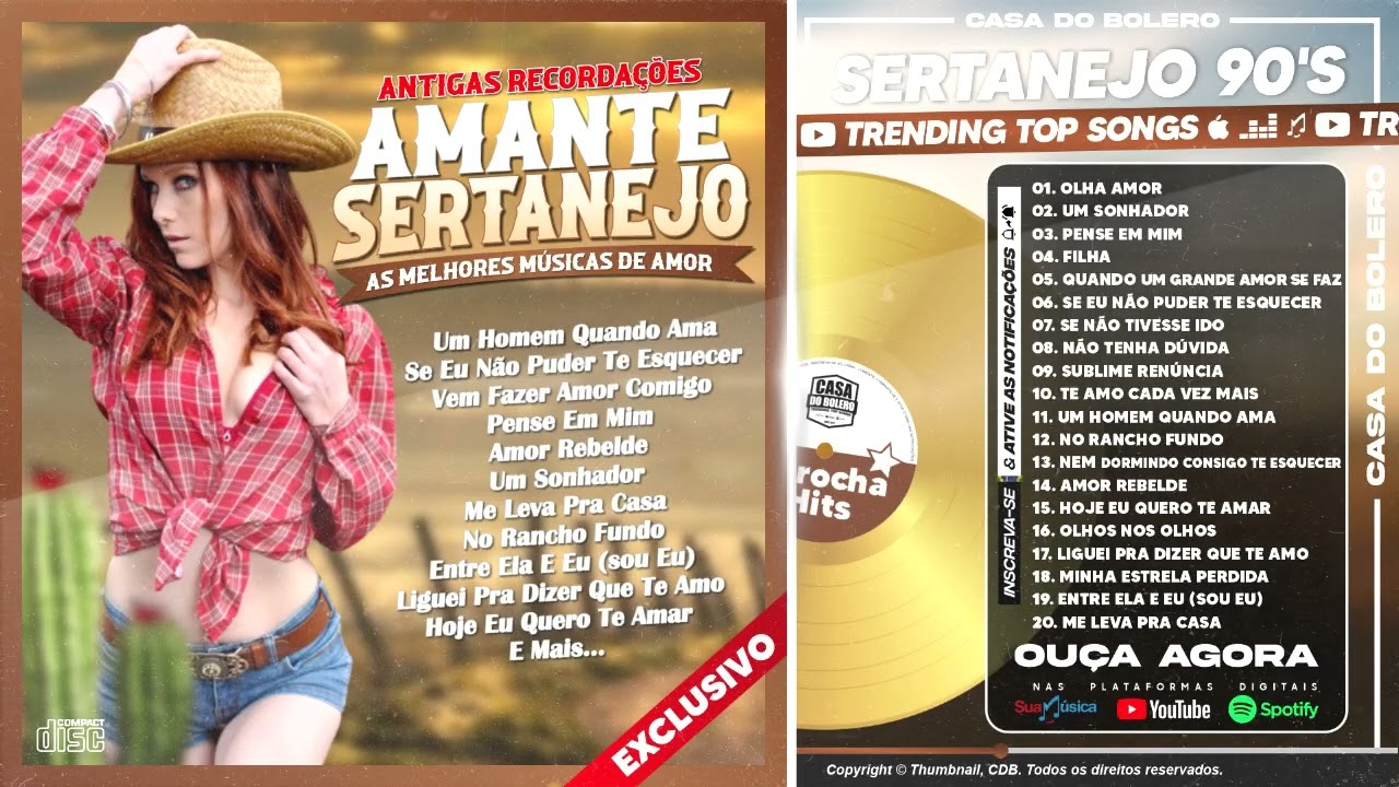 CLÁSSICOS SERTANEJOS DE TODOS OS TERMPOS - SERTANEJO 90'S AS MELHORES - MIX SERTANEJO PRA AMAR