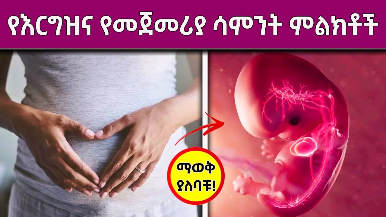 የእርግዝና የመጀመሪያ ሳምንት ምልክቶች || Week One pregnancy symptoms