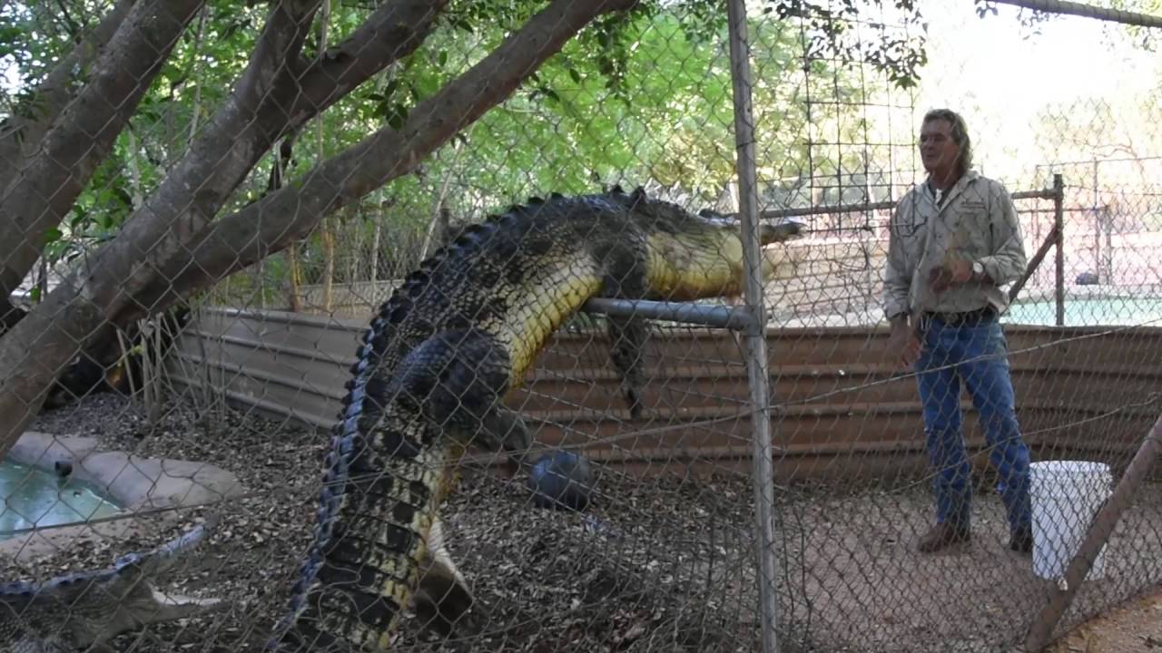 Malcolm Douglas Crocodile Park, Broome, Western Australia