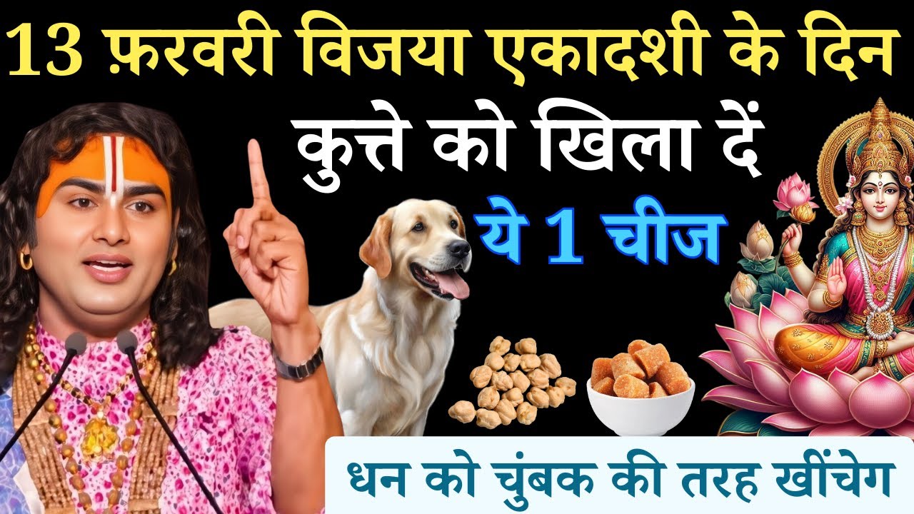 13 फ़रवरी विजया एकादशी शुक्रवार के दिन कुत्ते को खिला दें ये 1 चीज | Aniruddhacharya Ji
