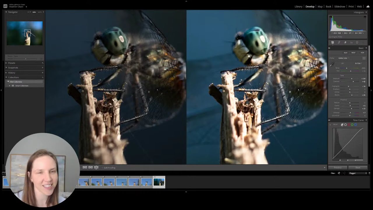 Cute Dragonfly Macro Part 1: Lightroom Edit