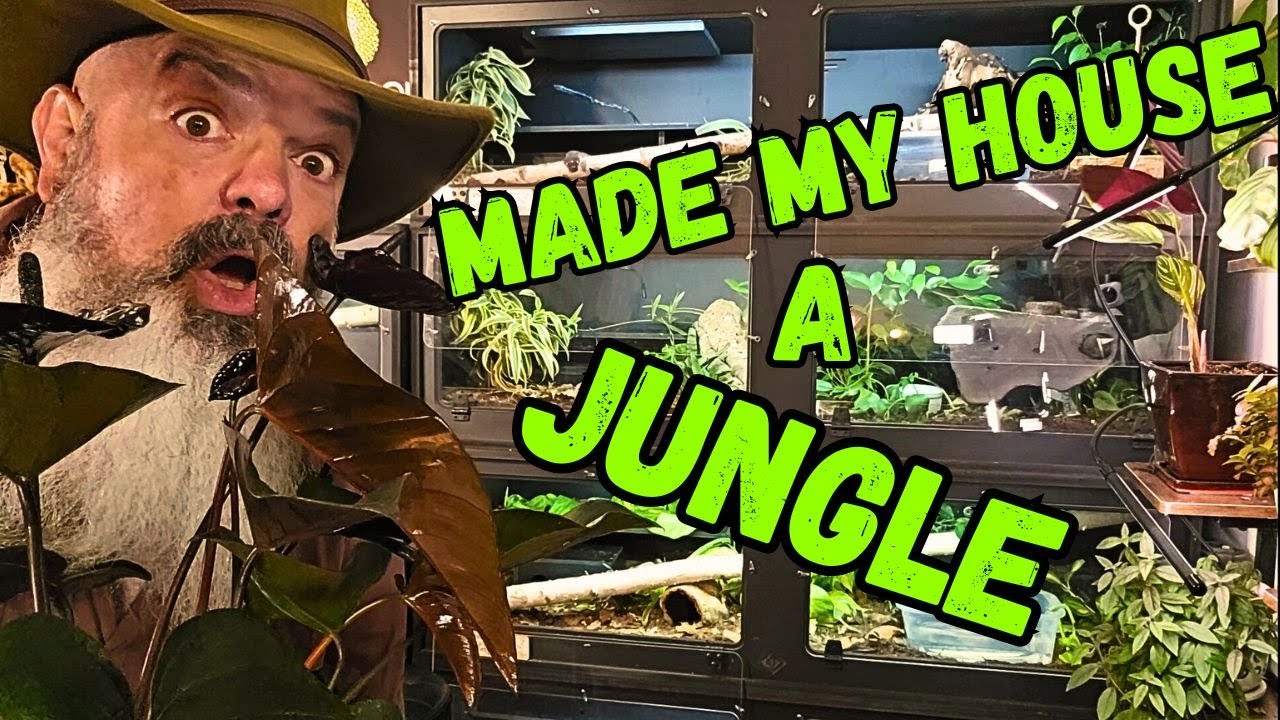 HUGE Change To My Snake Room
